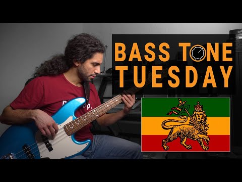 Видео: Звук регги-баса | Bass Tone Tuesday