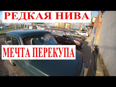 Видео: Редкая НИВА! Теперь ЕЁ Хотят ВСЕ ПЕРЕКУПЫ из-за Денег У кого купить НИВУ Особая История Покупки НИВЫ