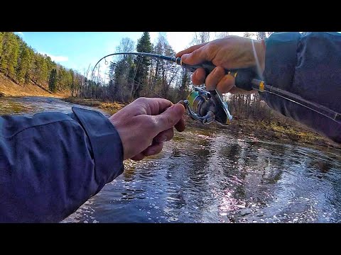 Видео: РЫБАЛКА КАК В СКАЗКЕ! Ловля щуки весной