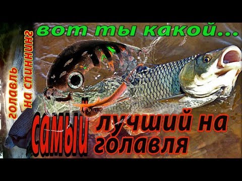 Видео: Не много размышлений на тему самый лучший воблер на голавля. Какой он? Топ 10 Воблеров на Голавля.