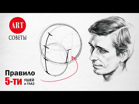 Видео: Пропорции лица человека. Как запомнить быстро и легко.