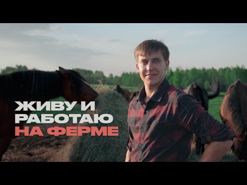 Видео: Как устроена жизнь на ферме?