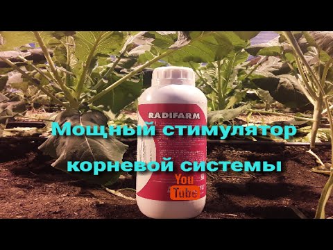 Видео: Радифарм для Овощей. Когда, как и зачем #землядел #РАДИФАРМ #volagro