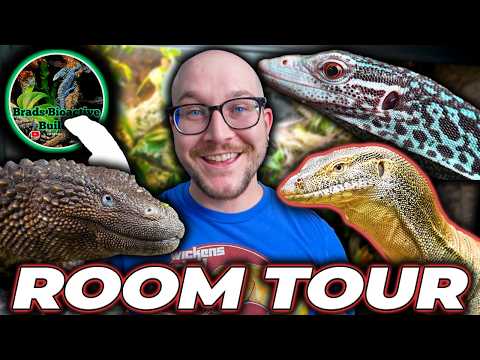 Видео: Экскурсия по залу рептилий в частном зоопарке