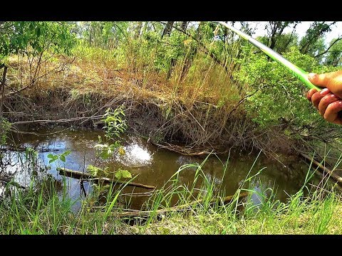 Видео: В РУЧЬЕ 20 СМ А КАБАНЫ КЛЮЮТ!Крупный окунь,лещ на поплавок. Рыбалка на Алтае