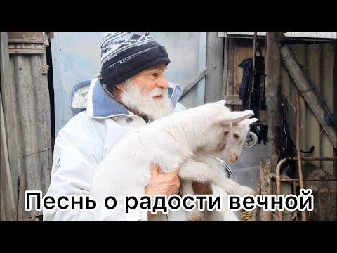 Видео: Песнь о радости вечной. 