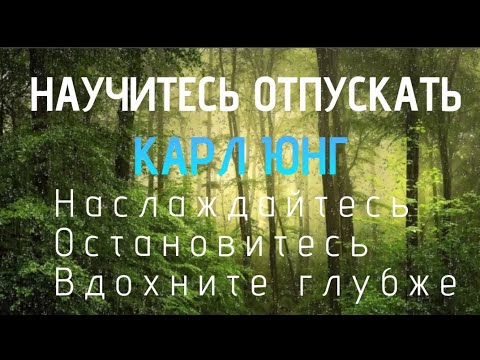 Видео: КАРЛ ЮНГ о парадоксе ОТПУСКАНИЯ 