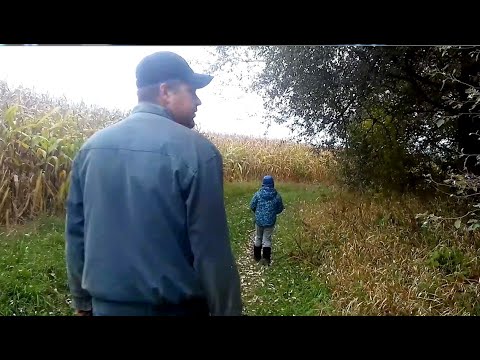 Видео: Останні вересневі денькі в цьому році. Уривки з життя в селі. #село #осень #жизньвдеревне #rurallife