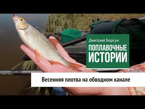 Видео: Весенняя плотва на обводном канале. Поплавочные истории (11 серия)