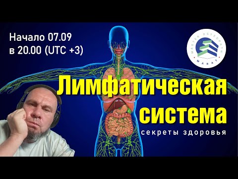 Видео: Лимфатическая система: секреты здоровья с мастером Маратом