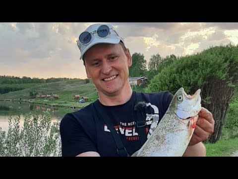 Видео: ФОРЕЛЬ/РЫБАЛКА НА ПЛАТНИКЕ/ЧИСТЫЕ ПРУДЫ/ПЕРВЫЙ ВЫЕЗД