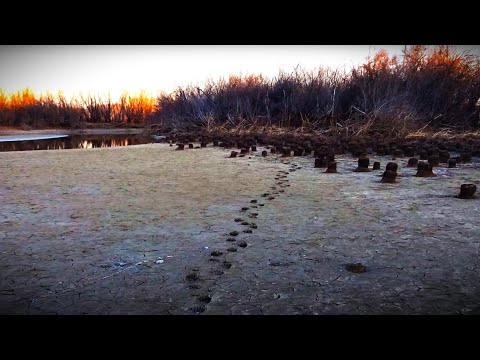 Видео: Медведь подошел к палатке. Связи нет. Рыбалка Охота Осенью на реке Амур