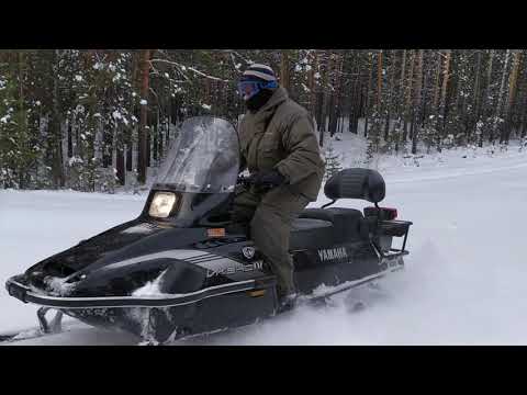 Видео: Снегоход Стелс 800 и Ямаха Викинг 540 вату  не катаем..