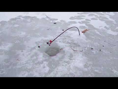 Видео: Рыбалка в марте на вертолёты / густера на каждом забросе/ лёд тронулся с рыбаками