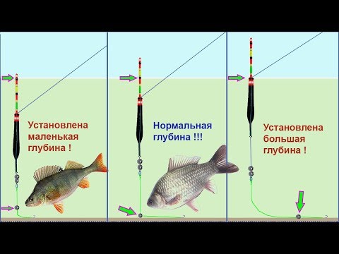 Видео: ОГРУЗКА ПОПЛАВКА ПОД ИДЕАЛЬНЫЕ УСЛОВИЯ ЛОВЛИ! Fishing. Рыбалка. Огрузка, Глубина, Подпасок, Поклевки