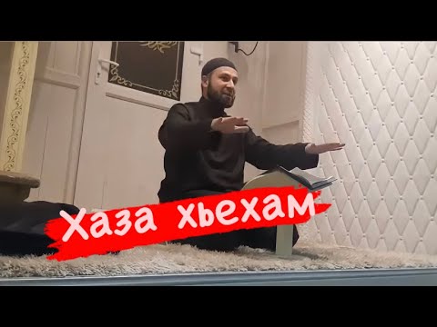 Видео: Хьехам Дала дина дика Хаза дицар