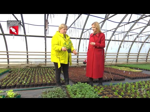 Видео: Чем живут фермеры Беларуси? Специальный репортаж