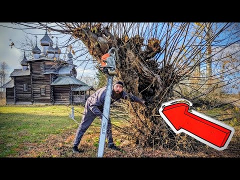 Видео: ТАЙНЫЙ КЛАД СВЯЩЕННИКА Найден Внутри Дерева!