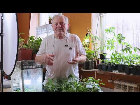 Видео: Почему надо спешить переходить из природного земледелия в биологическое современное земледелие