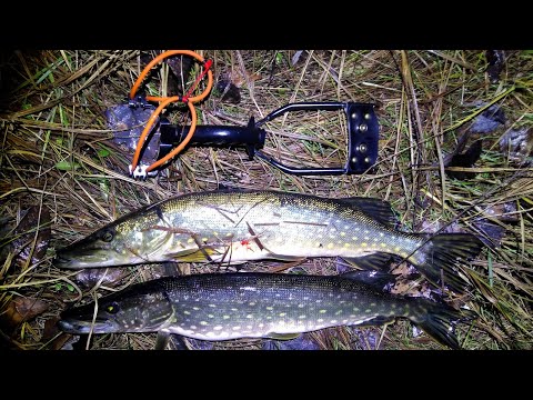 Видео: Slingshot. Охота на щуку с рогаткой.