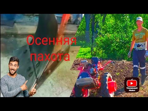 Видео: Осенняя вспашка мотоблоком МТЗ-05.