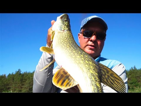 Видео: ТОНКОСТИ ЛОВЛИ ЩУКИ! РЫБАЛКА на ЗАСЕКРЕЧЕННУЮ ПРИМАНКУ!