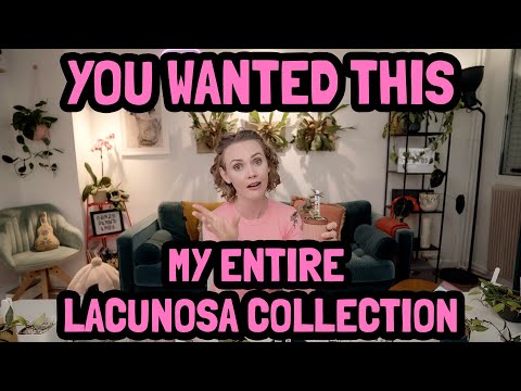 Видео: ВСЯ МОЯ КОЛЛЕКЦИЯ ЛАКУНОЗА | 24 ХОЙИ