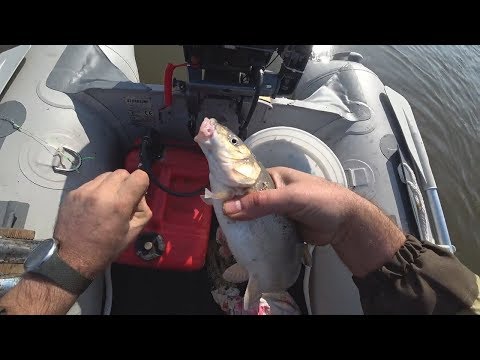 Видео: Ловля красноперки с лодки 2018