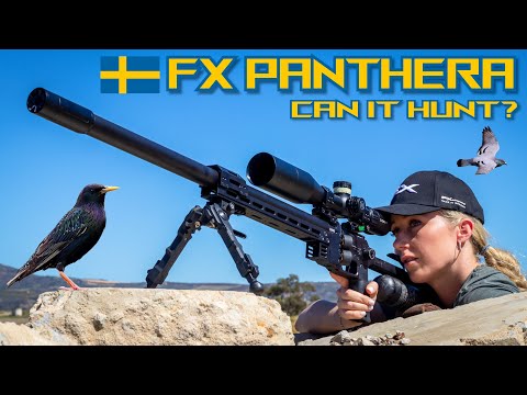 Видео: FX Panthera | Можно ли охотиться? | Обзор | Пули 26 гран | Борьба с вредителями с помощью пневмат...