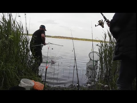 Видео: Открытие летнего сезона с приключениями. фидер и всё остальное. Рыбалка в Беларуси.