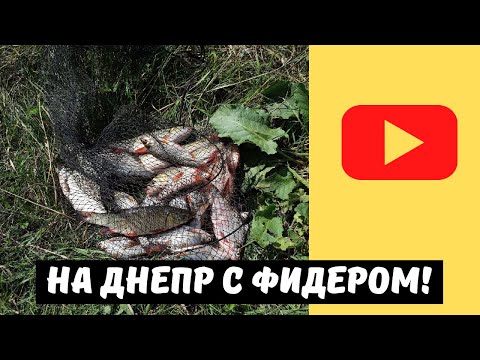 Видео: Сутки на Днепре! Очередной тест ЗАВАРНЫХ звездочек и речников от MAXIMUS на реке без течения.