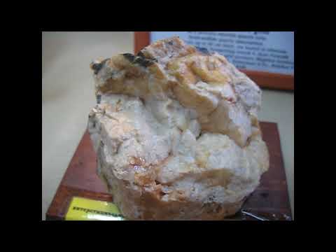 Видео: Образцы золотосодержащей руды с золоторудных месторождений