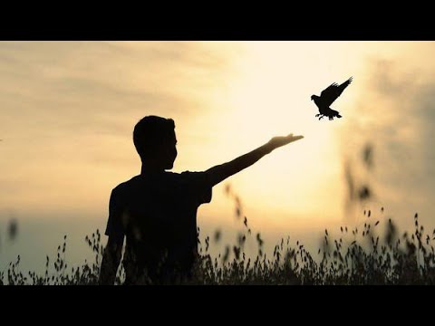 Видео: "Простыя словы". Лявон Вольскі.