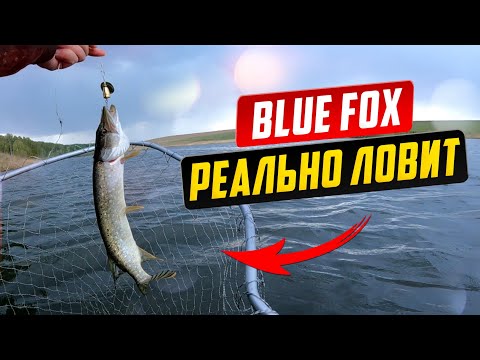 Видео: Вертушки Blue Fox и Lucky John реально ловят