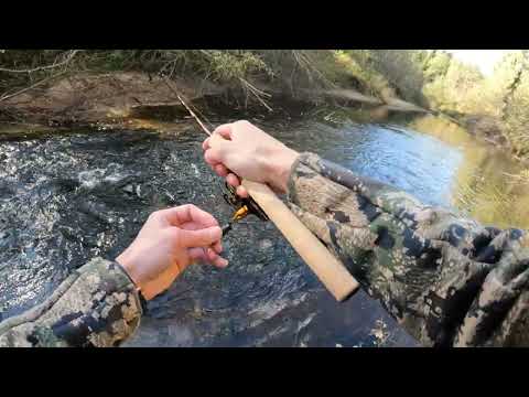 Видео: Хариус на Jackall Timon Tricoroll Ryushin 43HW