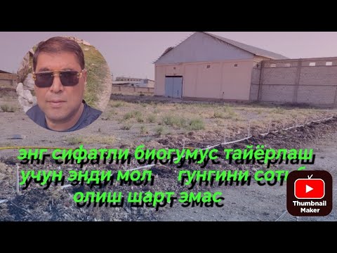 Видео: Энг сифатли биогумусни кандай  тайёрлашни куринг