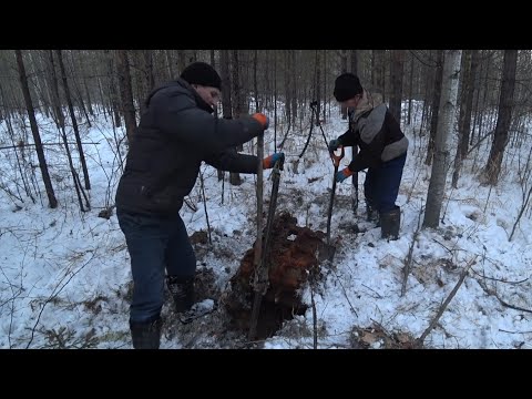 Видео: РВЁМ КИТАЙСКУЮ ТОЙОТУ!!! ЗИМНИЙ МЕТАЛЛА КОП В СИБИРИ!!! ЗАКРЫТИЕ СЕЗОНА!!!!!