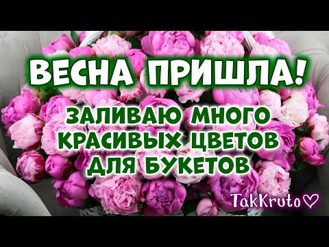 Видео: Заливка мыльных цветов от ТакКруто 🌷🌷🌷 Мыловарение