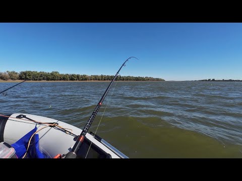 Видео: ЭТА ПРИМАНКА ЛОВИТ ВСЁ! ЛОВЛЯ НА СПИННИНГ РЫБАЛКА ОСЕНЬЮ. 