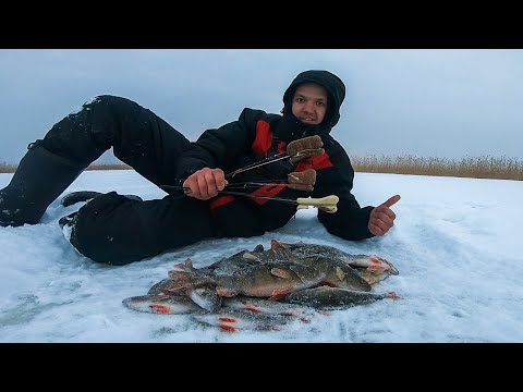 Видео: НЕ ЗРЯ ПОШЕЛ В БЕРЕГ! ЛОВЛЯ ОКУНЯ НА БЛЕСНУ ЗИМОЙ. ЗИМНЯЯ БЛЕСНА НА ЛАДОЖСКОМ ОЗЕРЕ