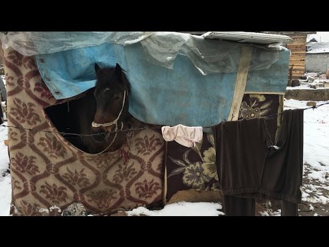 Видео: НЕ/ВЪЗМОЖНОТО ВКЛЮЧВАНЕ, ВТОРА ЧАСТ