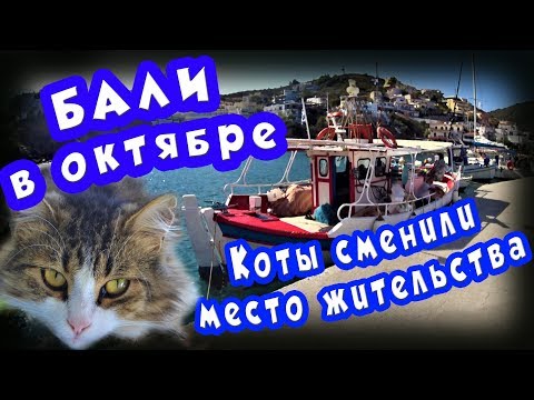 Видео: КРИТ ☀️ БАЛИ в октябре ⛵ Перевозим котов в ФАРОС 🐱