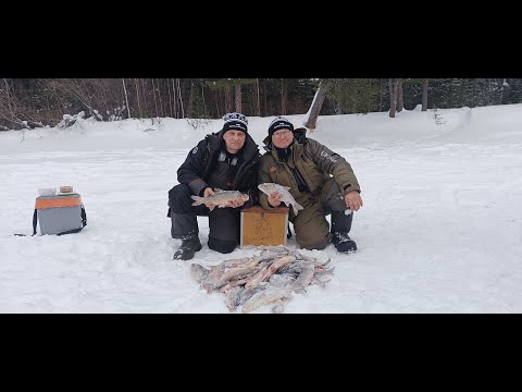 Видео: Река Етыпур! Глухозимье заканчивается!