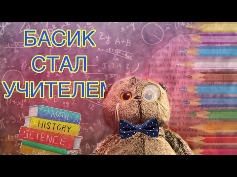 Видео: Кот Басик стал учителем