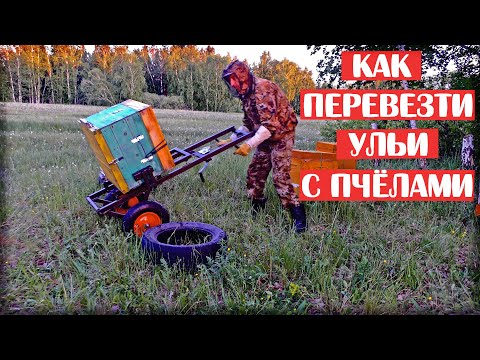 Видео: КАК ПЕРЕВОЗИТЬ УЛЬИ С ПЧЁЛАМИ. ПОДРОБНО И ПОШАГОВО. НЕКОТОРЫЕ ХИТРОСТИ