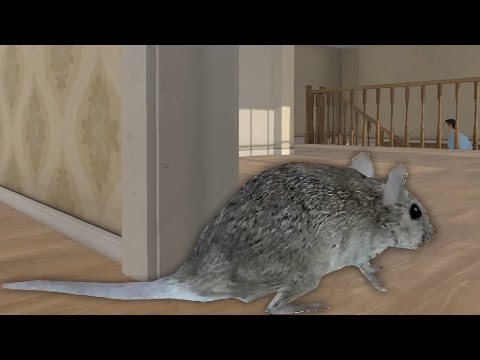 Видео: СИМУЛЯТОР МЫШИ ТЕРРОРИСТА! ЗАРАЗИМ ВСЁ! МЫШИ БУДУТ ГЛАВНЫМИ! RAT SIMULATOR