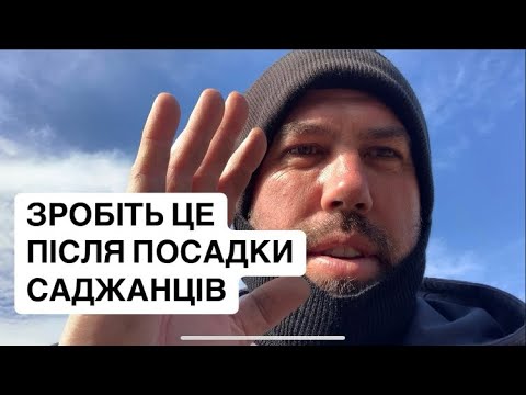 Видео: Обрізка дерев після посадки