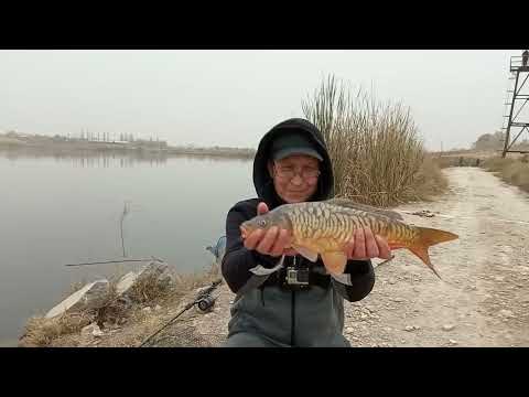 Видео: Пруд Назарбек(Дамачи)