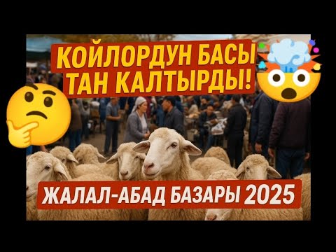 Видео: 🤯🤔Койлордун баасы тан калтырды! Жалал-абад кой базар 2025 число видео 04-10-2025