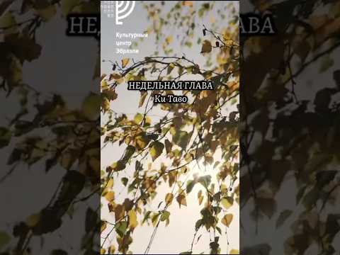 Видео: Недельная глава Ки-Таво #недельнаяглава #тора #torah #иудаизм